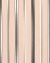 Coco Stripe Blush by  Schumacher Fabric 