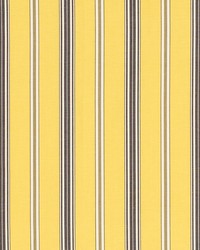 Coco Stripe Yellow by  Schumacher Fabric 