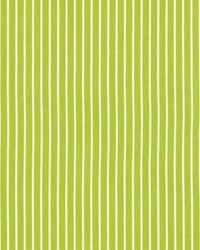 Edie Stripe Green by  Schumacher Fabric 