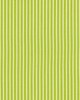 Schumacher Fabric EDIE STRIPE GREEN