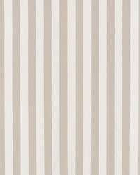 James Stripe Taupe by  Schumacher Fabric 