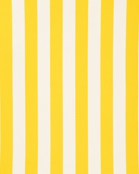 Cabana Stripe Yellow by  Schumacher Fabric 