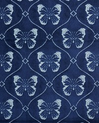 Papillon Velvet Sapphire by  Schumacher Fabric 