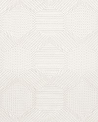 Tortuga Embroidery Ivory by  Schumacher Fabric 