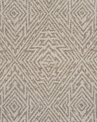 Natura Driftwood by  Schumacher Fabric 