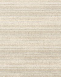 Rustico Natural by  Schumacher Fabric 