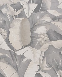 Botanico Platinum by  Schumacher Fabric 