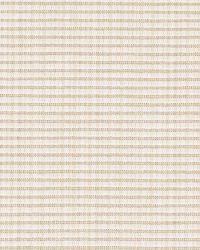 La Quinta Cream by  Schumacher Fabric 