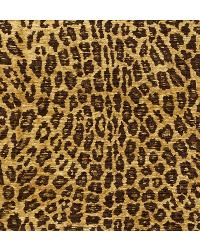 Savvy Safari 32761 640 Leopard by   