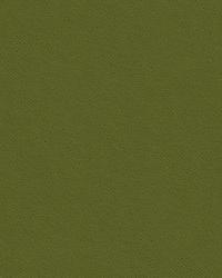 Delta 32864 130 Loden by   