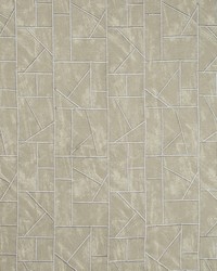 Bamboo Stitch 35416 11 Platinum by   