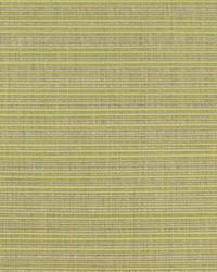 KRAVET BASICS 36842 23 by   