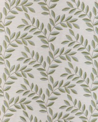 KRAVET BASICS 37145 3 by   