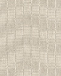 KRAVET BASICS 37274 161 by   