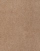 Kravet 37310 4