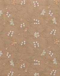 Sinensis Sheer 8875 112 Apricot by   