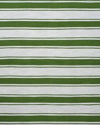 Mountain Stripe AM100354 31 Meadow by   