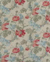 Peony AM100449 517 Sea Coral by   