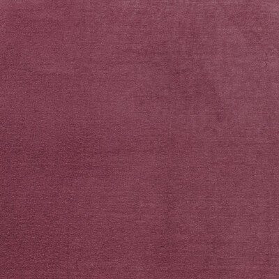 Clarke and Clarke Maculo F1423/12 CAC Raspberry in CLARKE & CLARKE PURUS Red Upholstery -  Blend