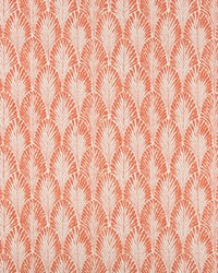 KRAVET BASICS FELLOE 12 by   