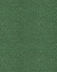 Apache GDT5654 008 Verde by   