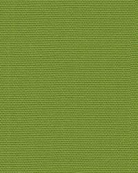 Canvas Ginkgo GR-54011-0000 0  by   