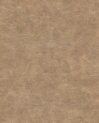 FAUX LEATHER IV Kravet Fabrics FAUX LEATHER IV Kravet Fabrics