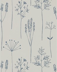 Stipa NZAW112019 SCN Denim by   