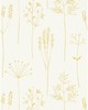 Kravet Wallcovering STIPA HONEY