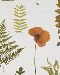 HERBARIUM W0091/04 CAC MULTI/IVORY by  Clarke and Clarke Wallpaper 