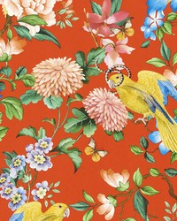 Golden Parrot Wp W0130/01 CAC Coral by  Clarke and Clarke Wallpaper 