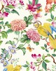 Clarke and Clarke Wallpaper GOLDEN PARROT WP IVORY