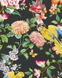 Golden Parrot Wp W0130/04 CAC Noir by  Clarke and Clarke Wallpaper 