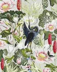 Waterlily Wp W0137/02 CAC Dove by  Clarke and Clarke Wallpaper 