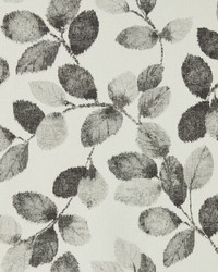 Northia W0159/01 CAC Charcoal Wp by  Clarke and Clarke Wallpaper 