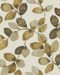 Northia W0159/04 CAC Pewter Gold Wp by  Clarke and Clarke Wallpaper 