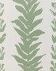 Kravet Wallcovering CLIMBING LEAVES WP SAGE