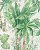 Kravet Wallcovering JUNGLEWOOD PNL VERDE