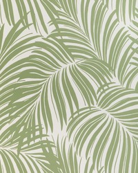 Palm Leaf Wp W4149 23 Verde by   