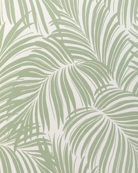 Palm Leaf Wp W4149 30 Light Green by   