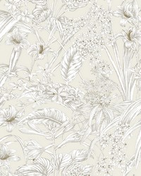 KRAVET DESIGN W4248 1 by   