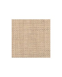 Catalina Weave WDW2390 WT Raffia by   