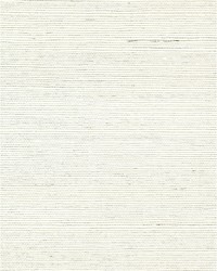 Chiyo Sisal WNR2002 WT Ivory White by   