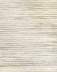 Ema Weave WNR2005 WT Cream by   