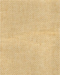 Noshi Weave WNR2055 WT Natural by   