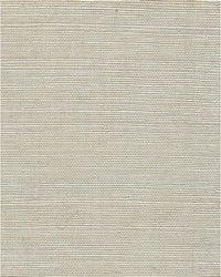 Chiyo Sisal WNR2064 WT Cafe Latte by   