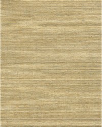 Chiyo Sisal WNR2065 WT Ochre by   