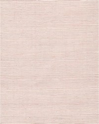 Chiyo Sisal WNR2076 WT Dusty Pink by   