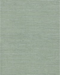 Chiyo Sisal WNR2106 WT Jade by   