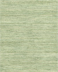 Amira Weave WNR2111 WT Sprig by   